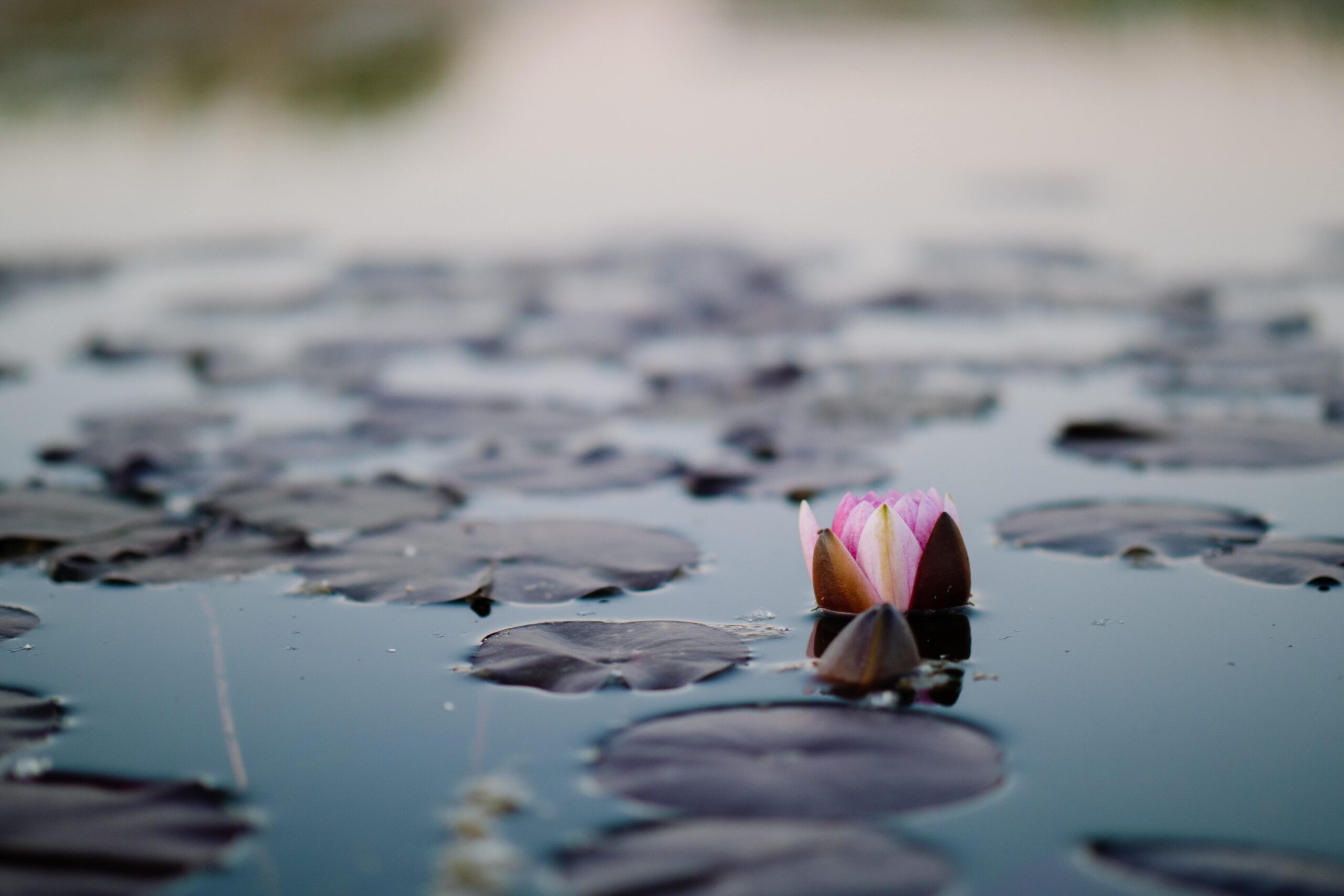centering-prayer-picture